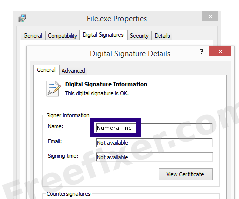Screenshot of the Numera, Inc. certificate